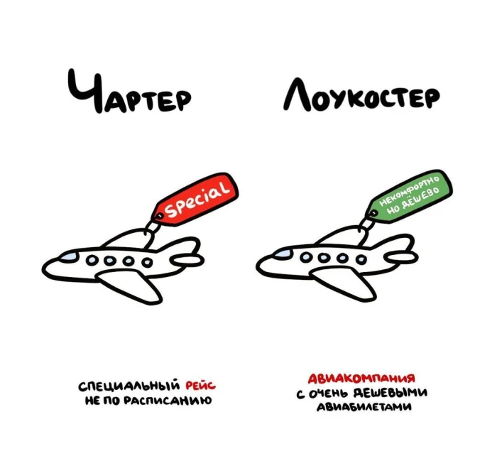 Слова, которые часто путают: в чём разница #18