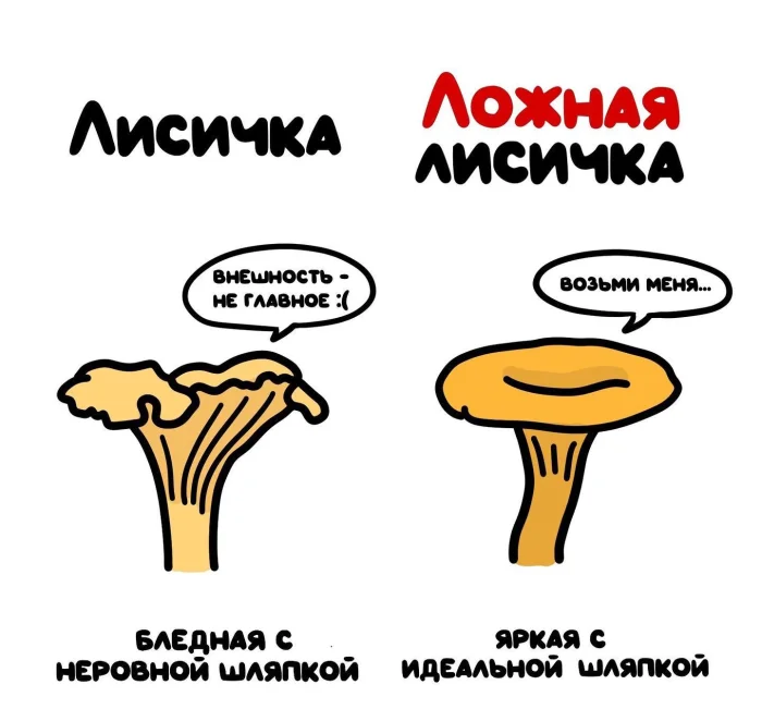 Слова, которые часто путают: в чём разница #21