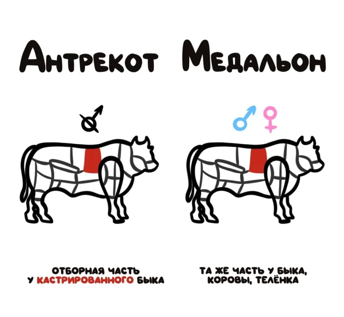 Слова, которые часто путают: в чём разница #25