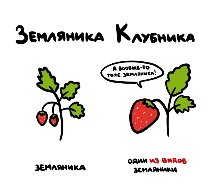 Слова, которые часто путают: в чём разница #3