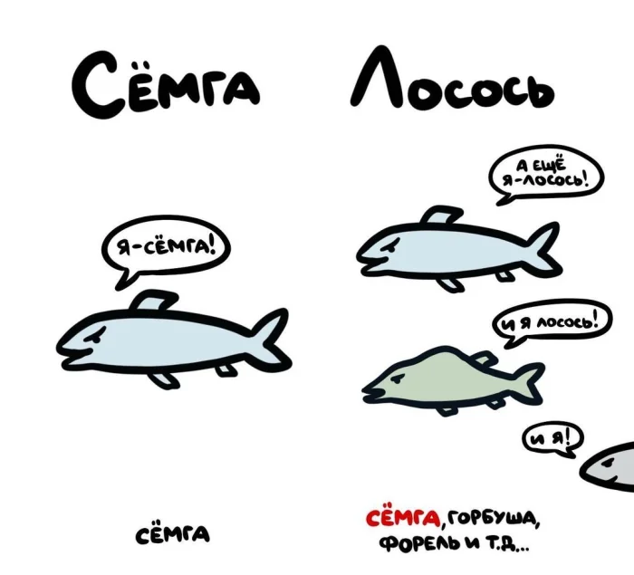 Слова, которые часто путают: в чём разница #30