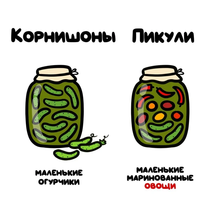 Слова, которые часто путают: в чём разница #4