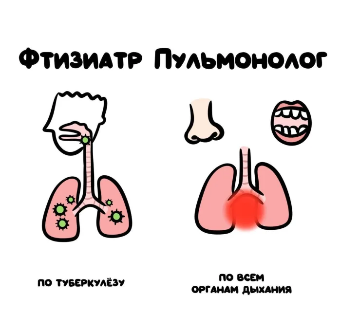 Слова, которые часто путают: в чём разница #5