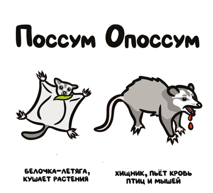 Слова, которые часто путают: в чём разница #7