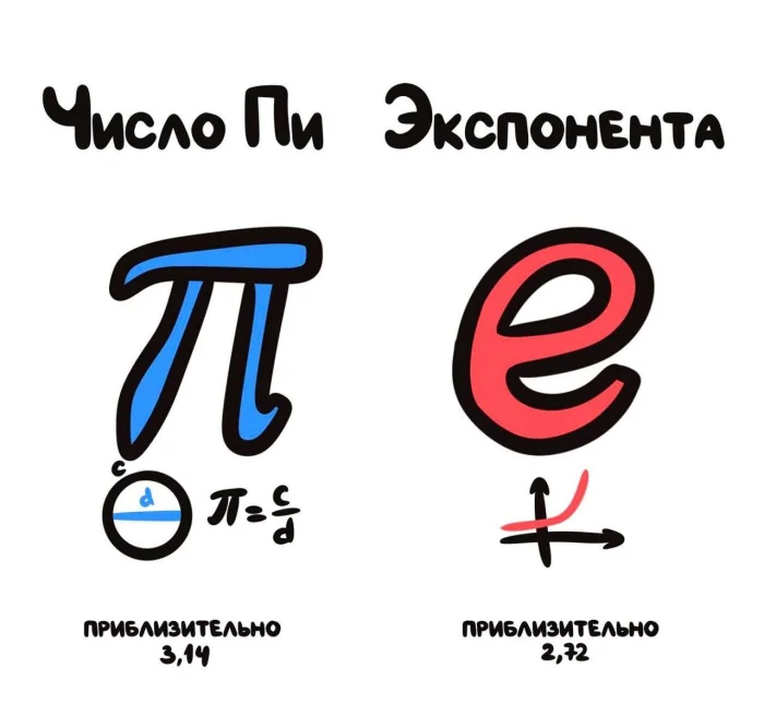 Слова, которые часто путают: в чём разница #9