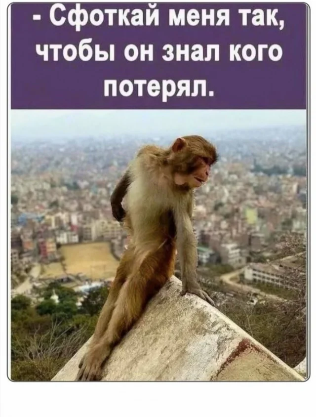 Смешные картинки для позитива