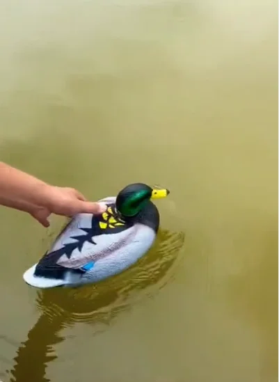 Ты где шлялся после работы?