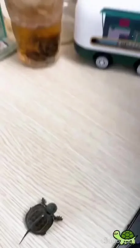 Ты не ты, когда голоден