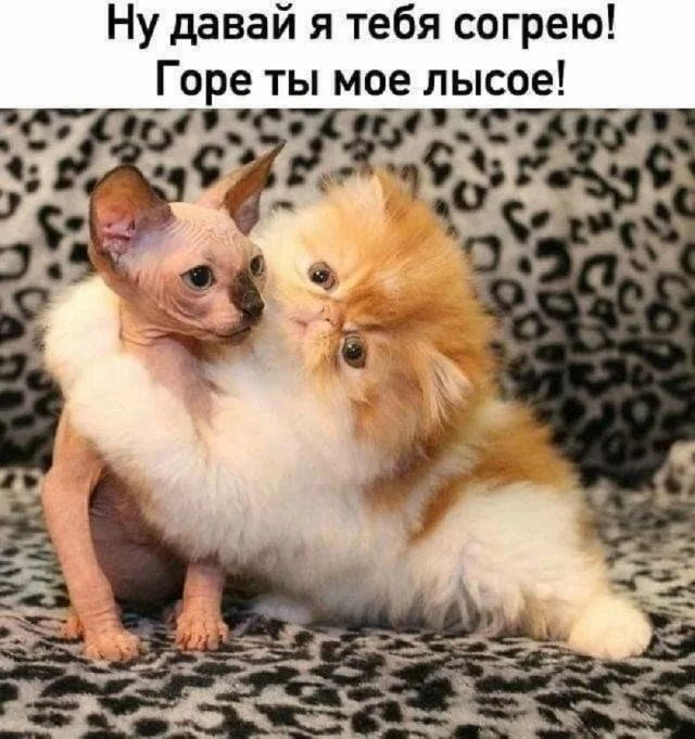 Убеги от скуки