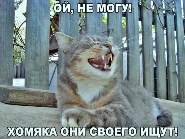 Улыбка в один клик