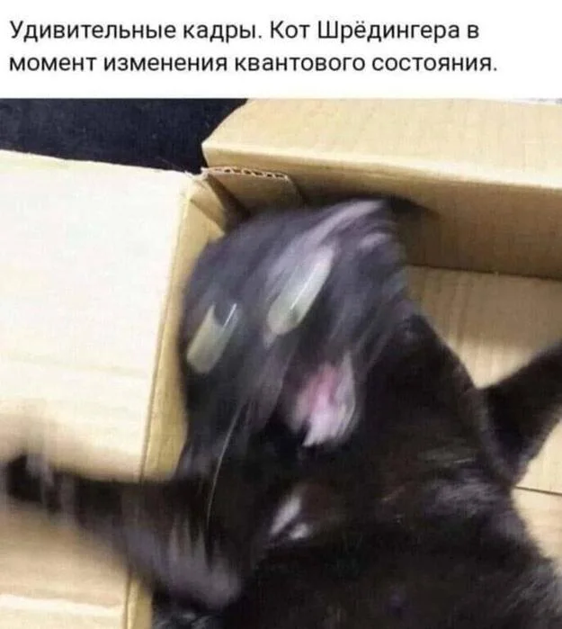 Весёлости картинки