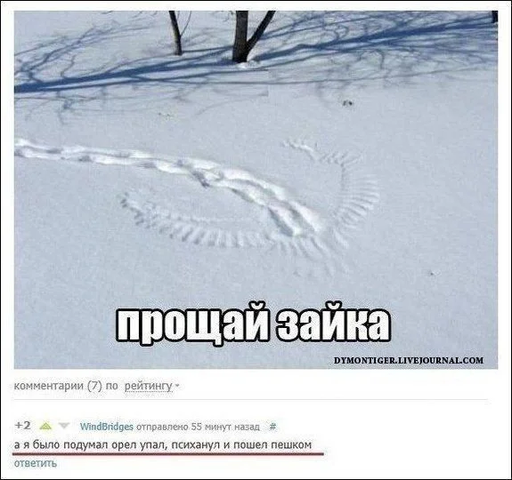 Весëлые и смешные картинки