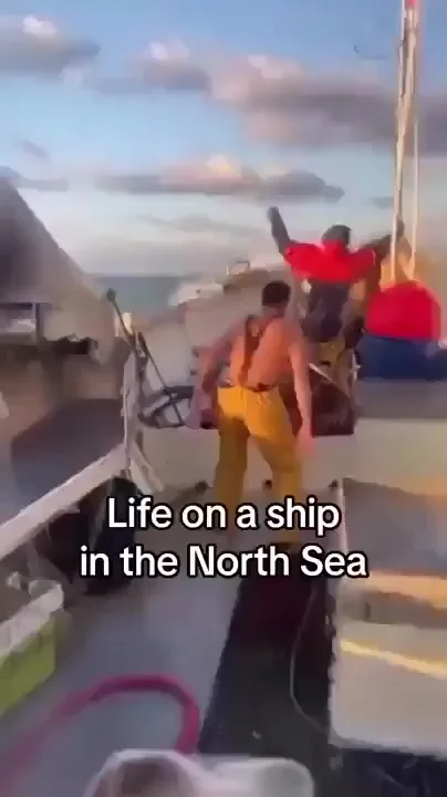 Вестибулярный аппарат у них что надо