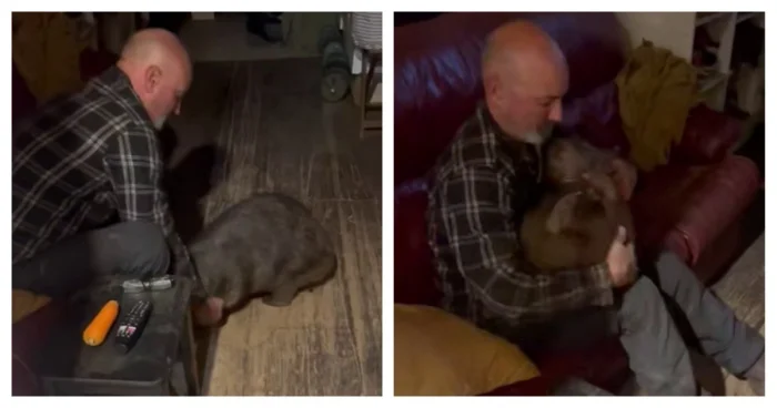 Всем нужны обнимашки