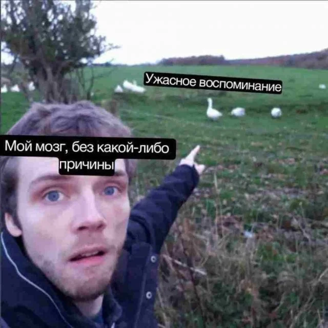 Забавное из интернета