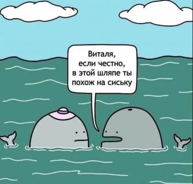 Забавные скрины из соцсетей