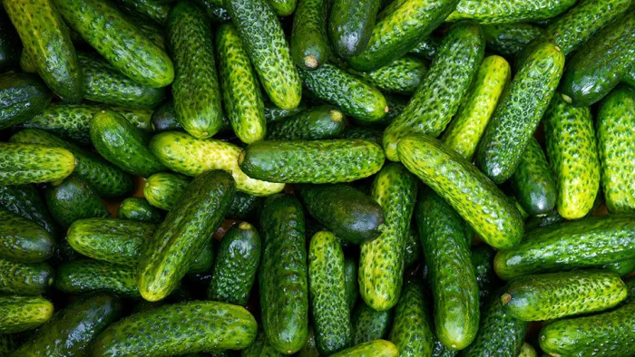 Злоба дня в анекдотах