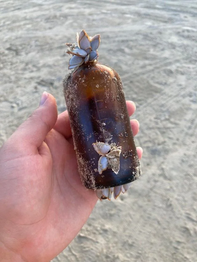 16 снимков, доказывающих: удивиться можно в любой момент