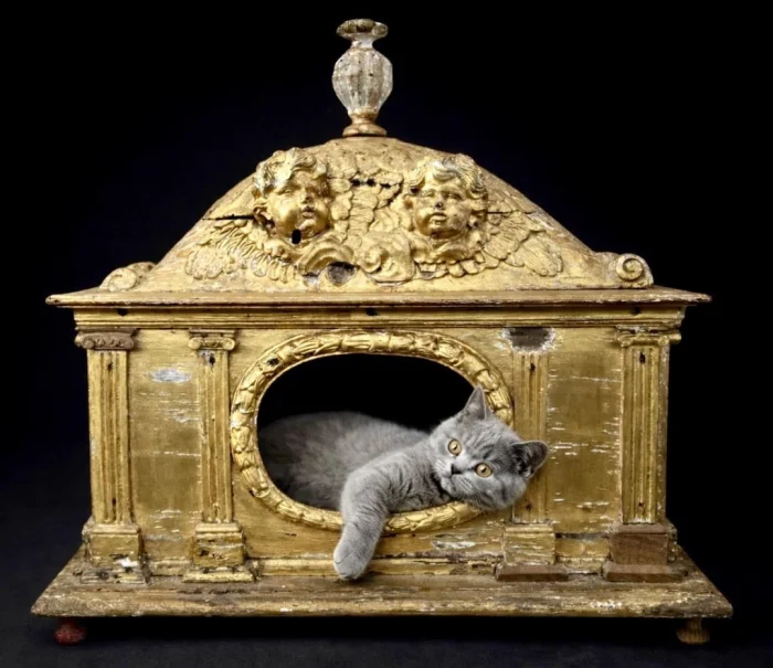 20 артефактов, заставляющих пересмотреть историю