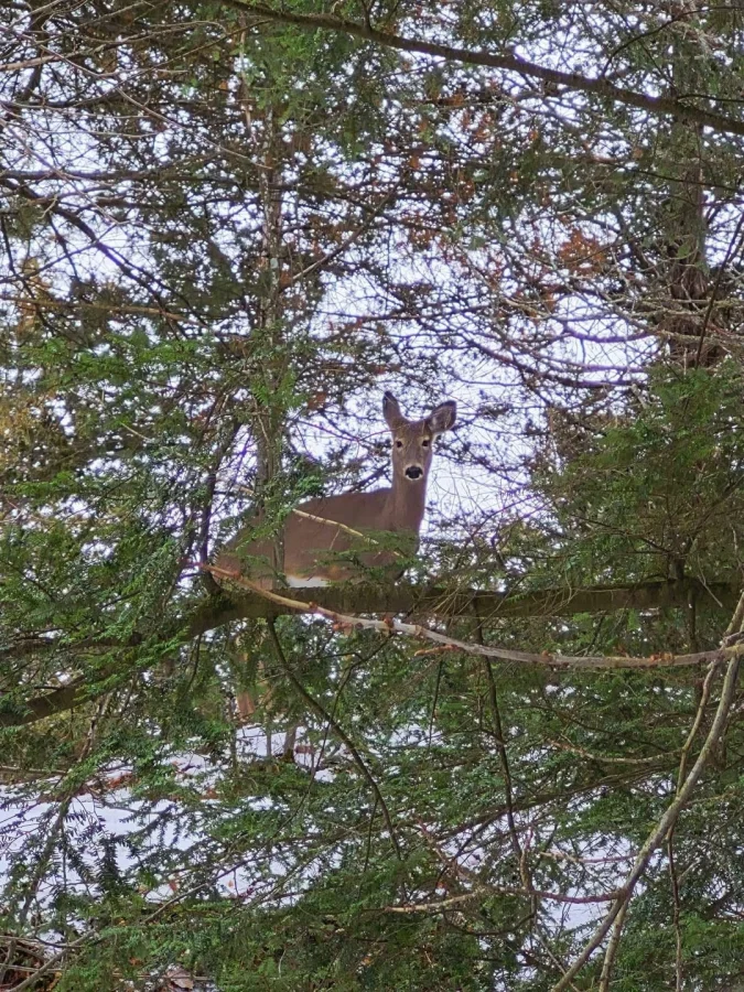 20 ситуаций, в которых реальность кажется иллюзией