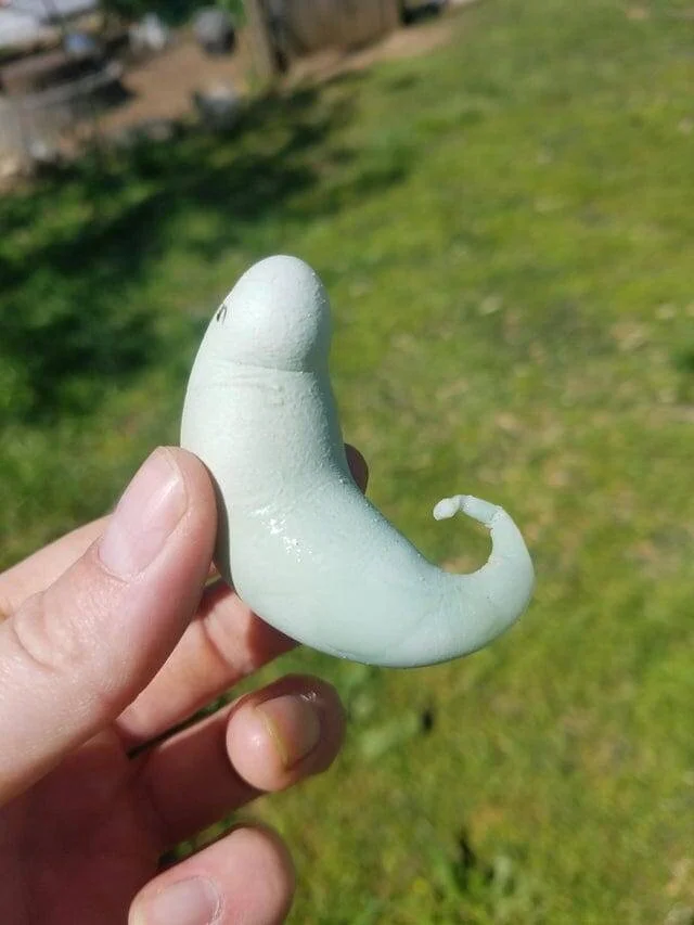 20 удивительных яиц с необычной формой и раскраской