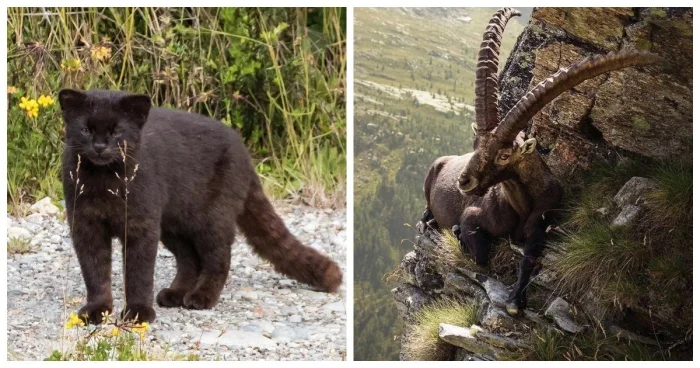 25 снимков, которые заставят собрать палатку и сбежать в лес