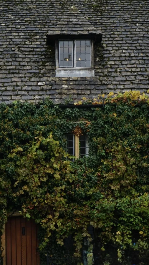 30 домов, которые притягивают с первого взгляда