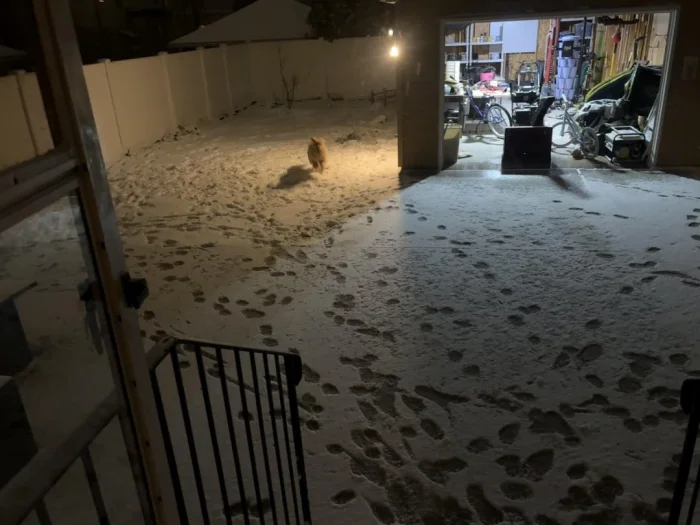 30 снимков, показывающих красоту обычных моментов