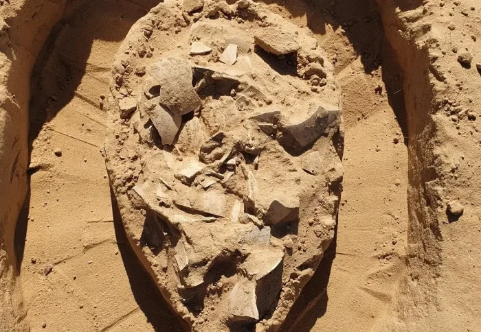 7000-летние страусиные яйца нашли археологи в израильской пустыне