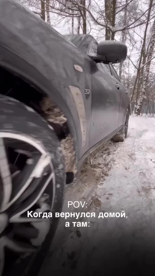 Бедный котик