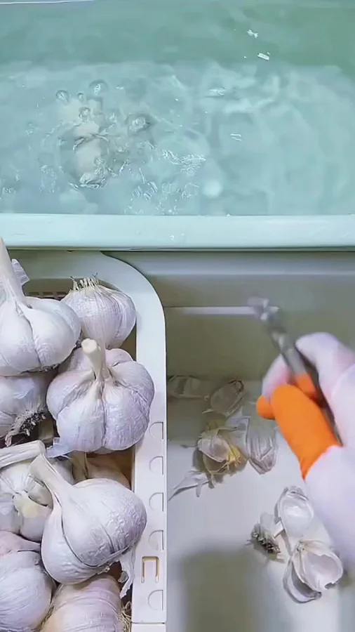 Быстро и качественно