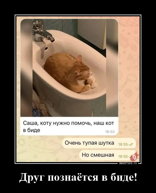 Демотиваторы, после которых хочется улыбаться