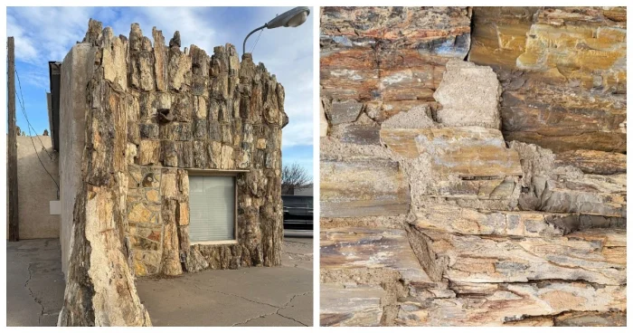 До динозавров и бензина: история древней «заправки»