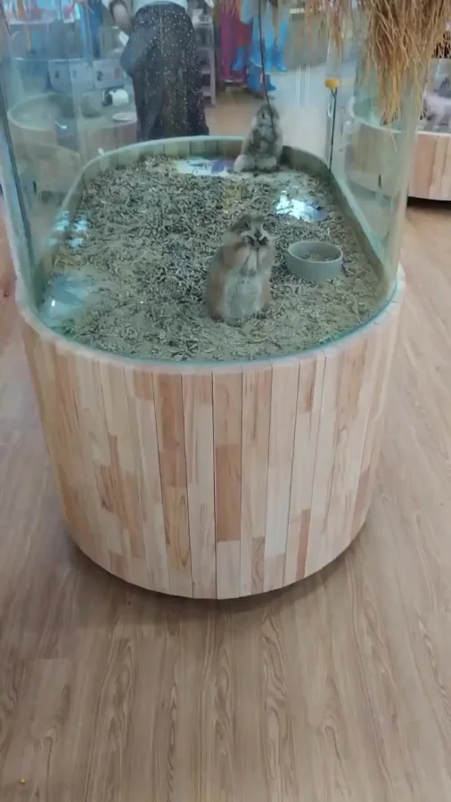 Дразнилка пушистая