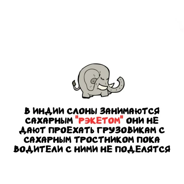 Факты, которые удивят в любой ситуации