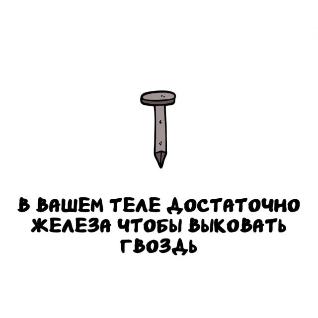Факты на все случаи жизни: любопытно и полезно