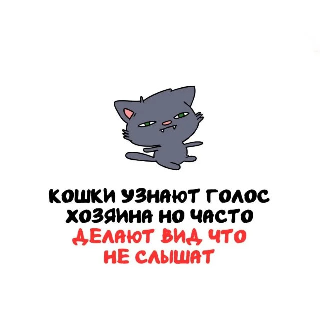 Факты обо всём