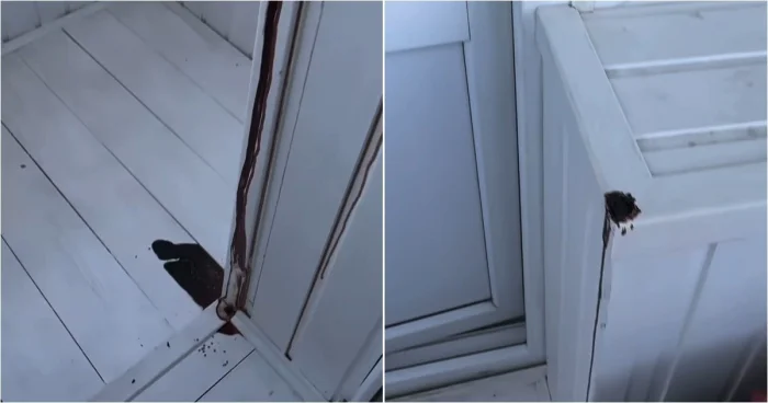 Якутянка чуть не потеряла сознание, увидев струи крови с потолка
