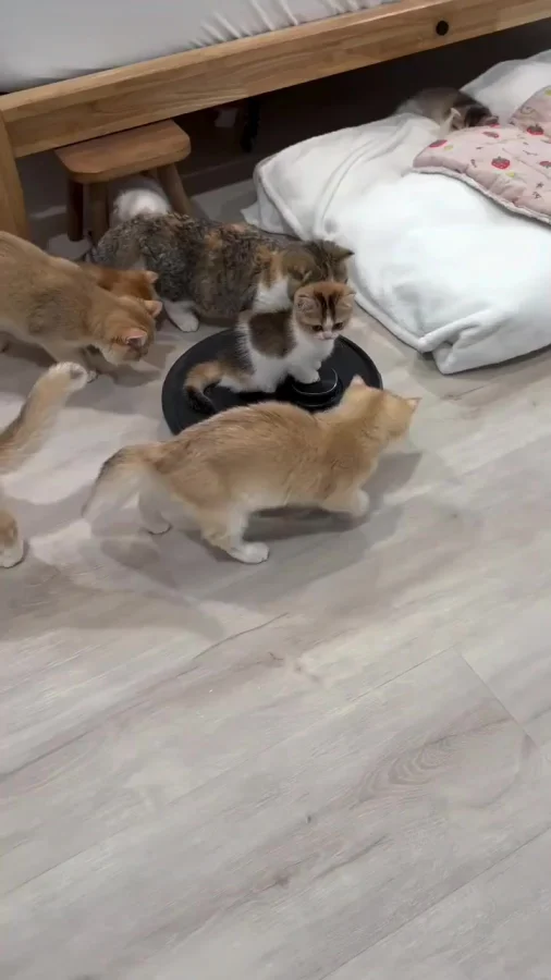 Это их первый транспорт