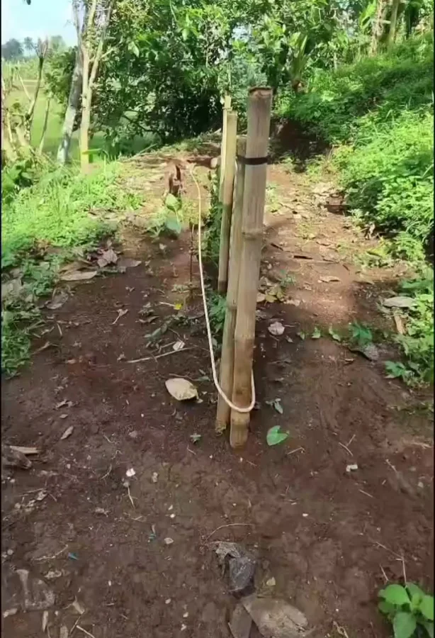 Когда твоя собака слишком активная