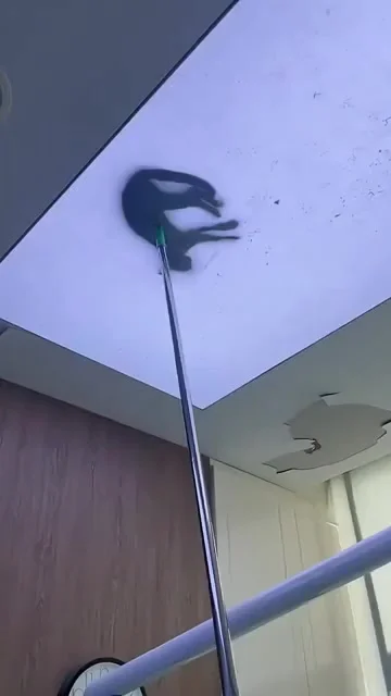 Котиковая маскировка