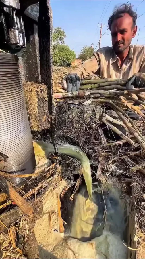 Кто знает как называется вкусняшка?