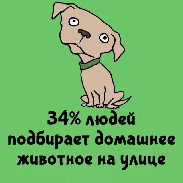 Любопытные факты о мире вокруг нас