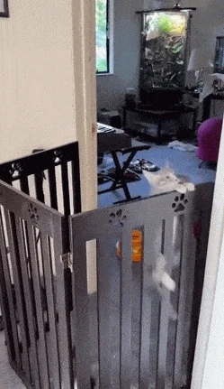 Лучшие гифки для отличного настроения