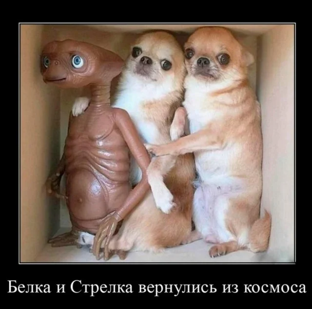 Мемо-терапия