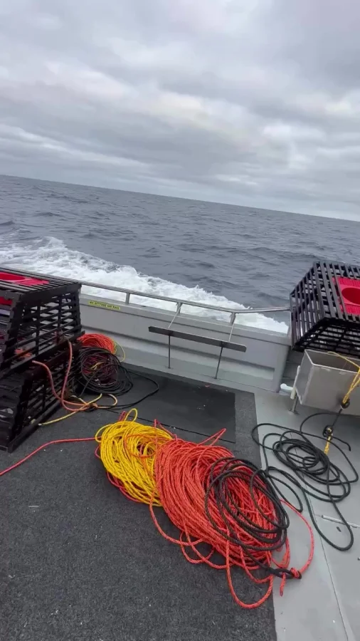 Морской бой