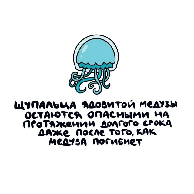 Может, ты об этом не слышал…