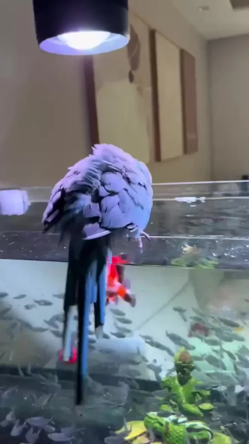 Можно помыть здесь попу?