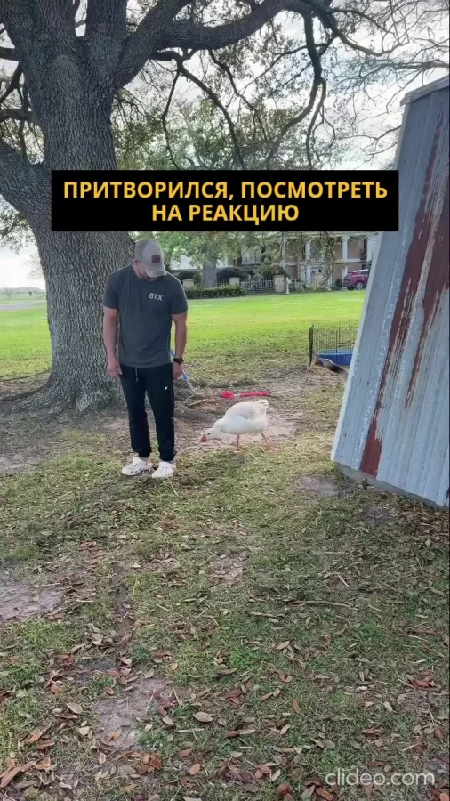 Наконец-то победил