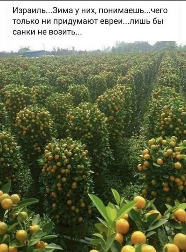 Немного дебиловатого юмора